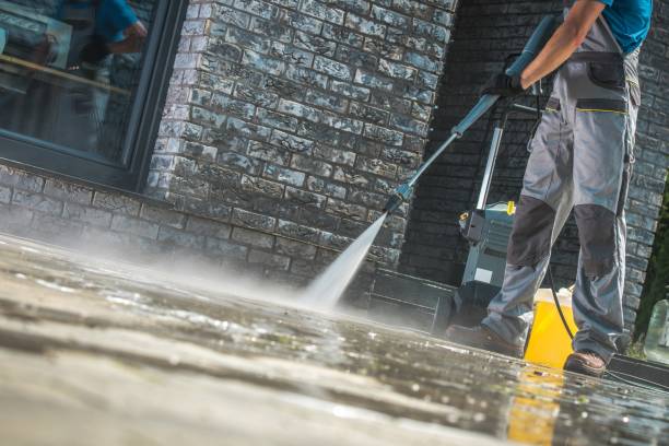 Best Pre-Holiday Cleaning  in Kemp, TX
